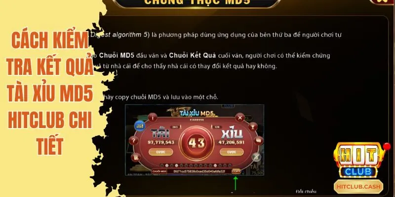 Cách kiểm tra kết quả Tài Xỉu MD5 Hitclub chi tiết